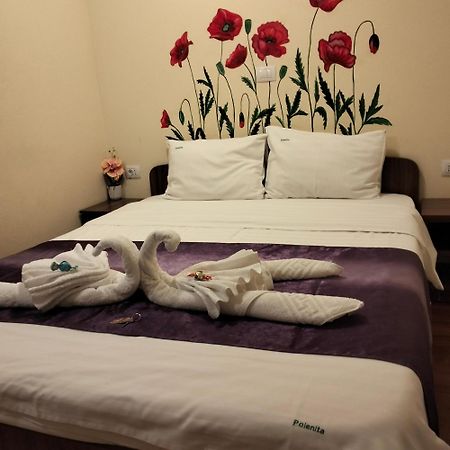 Vila Poienita Caciulata Calimanesti Ngoại thất bức ảnh