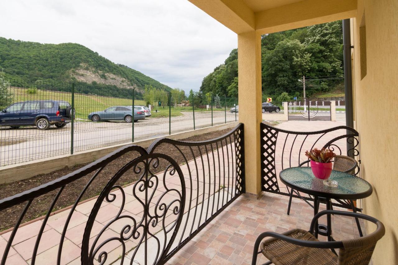 Vila Poienita Caciulata Calimanesti Ngoại thất bức ảnh
