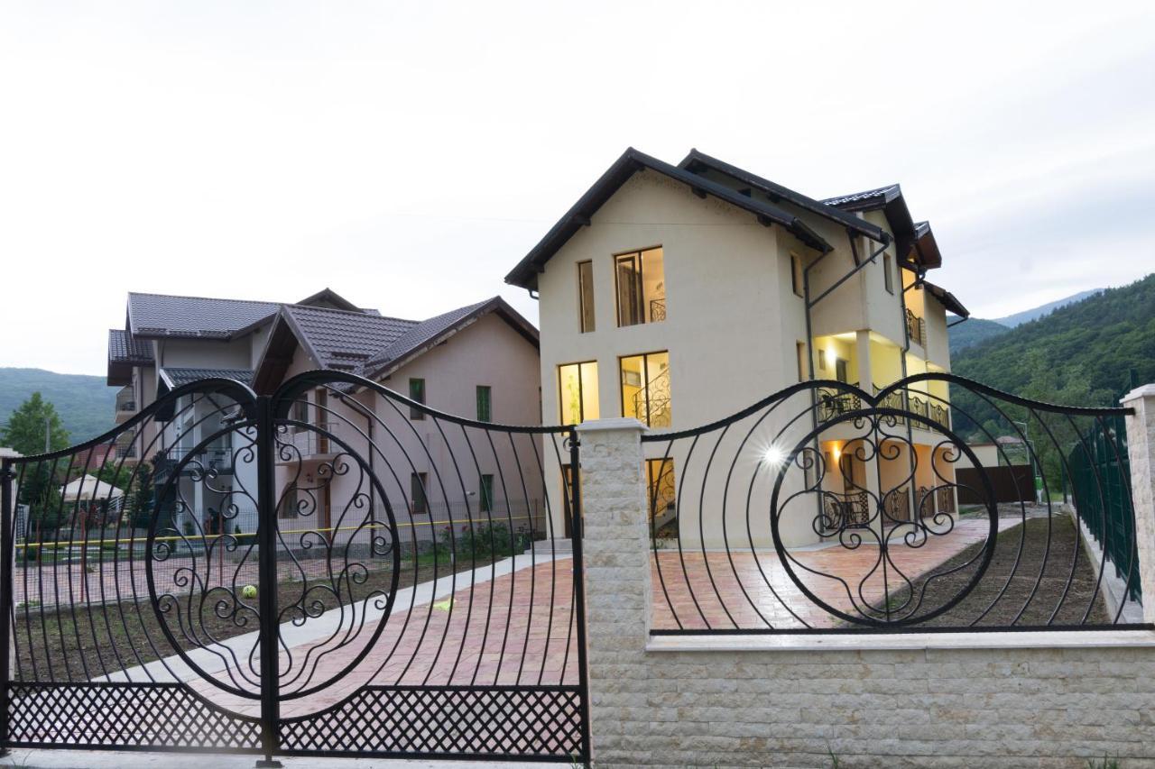 Vila Poienita Caciulata Calimanesti Ngoại thất bức ảnh