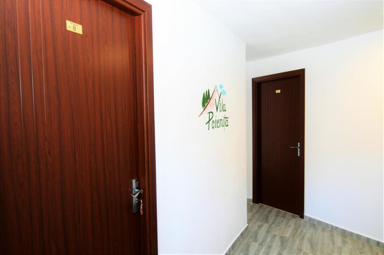 Vila Poienita Caciulata Calimanesti Ngoại thất bức ảnh