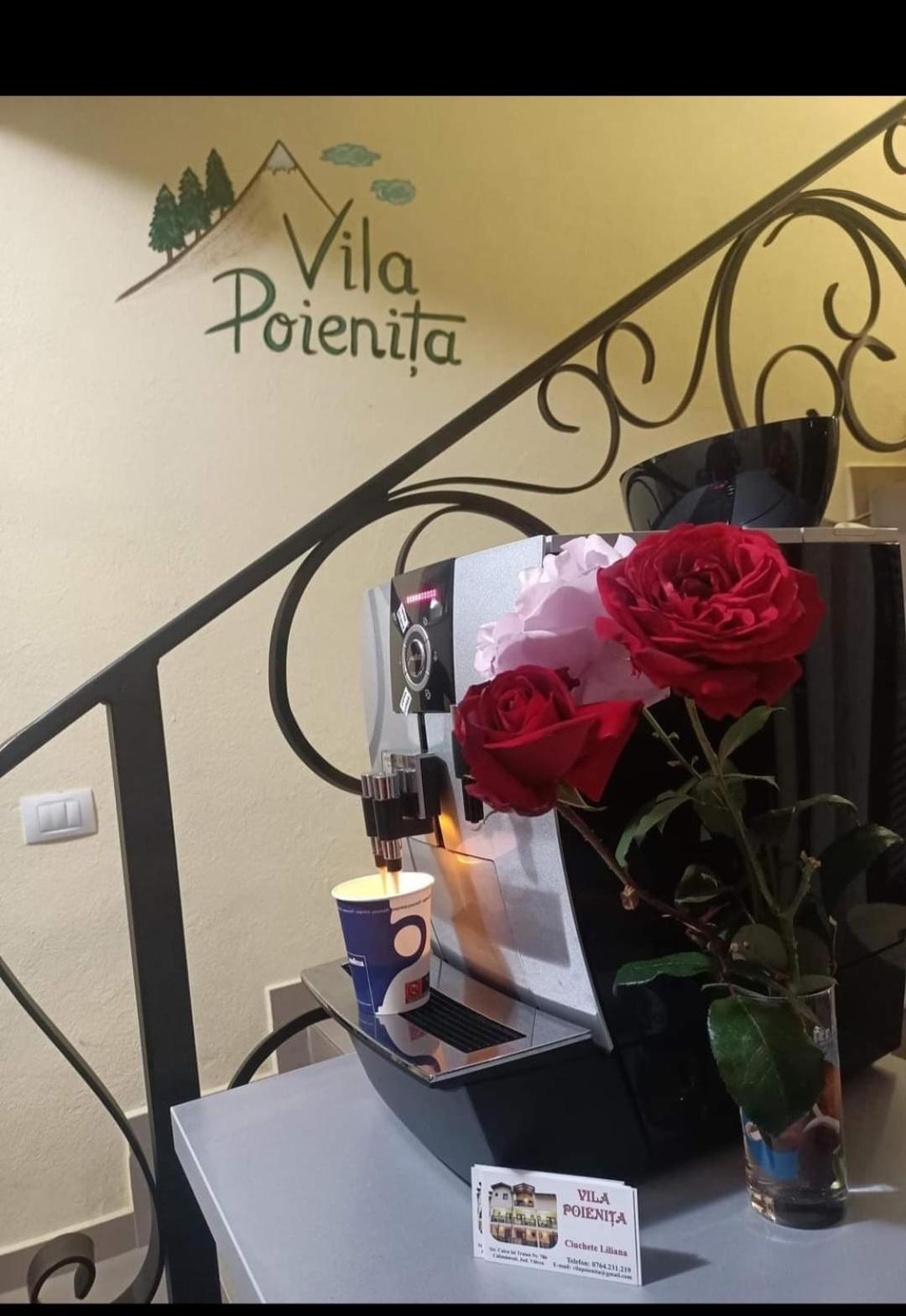 Vila Poienita Caciulata Calimanesti Ngoại thất bức ảnh